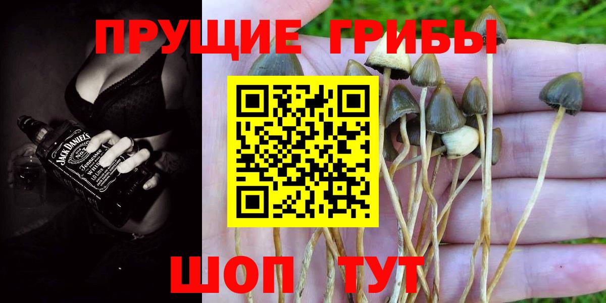 Псилоцибиновые грибы мухоморы Полысаево
